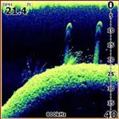 Экран эхолота Lowrance