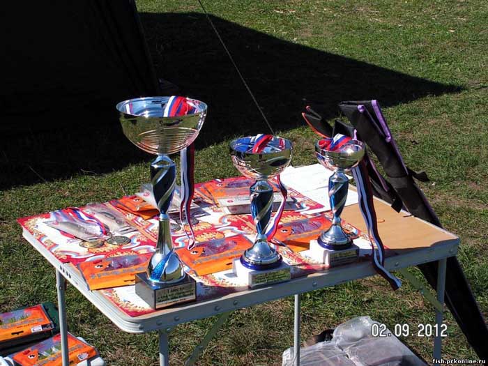 Кубок Прокопьевска Кубки