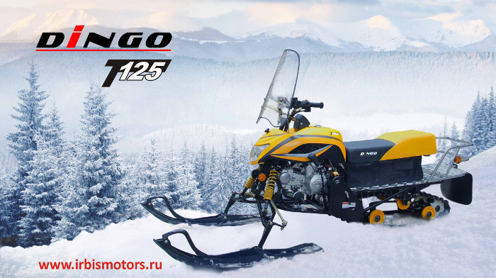 Снегоход Dingo T125