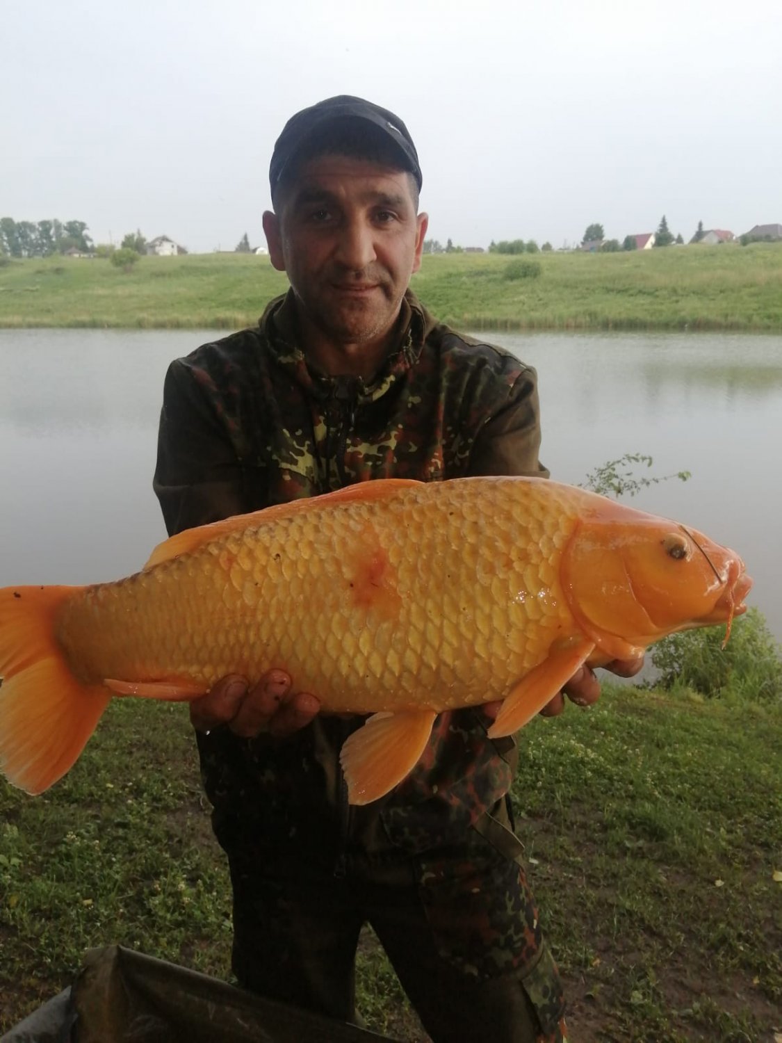 ?hash=83f695219ea6fd43ba049d6ae4244755