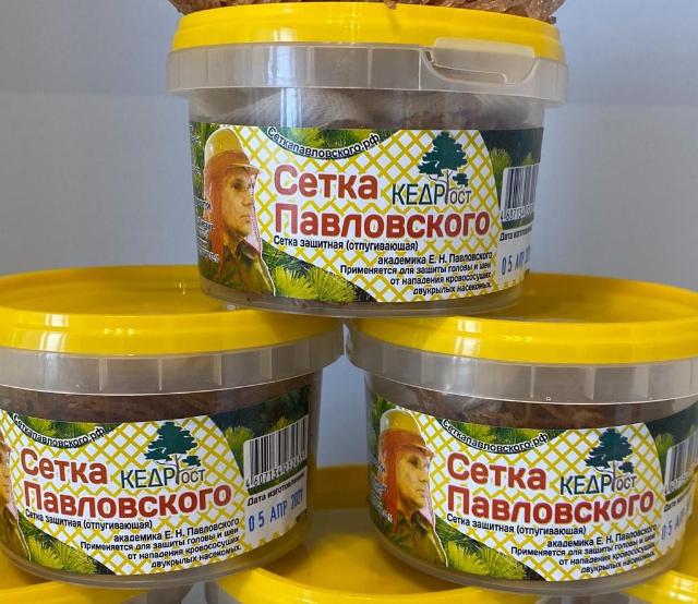199293