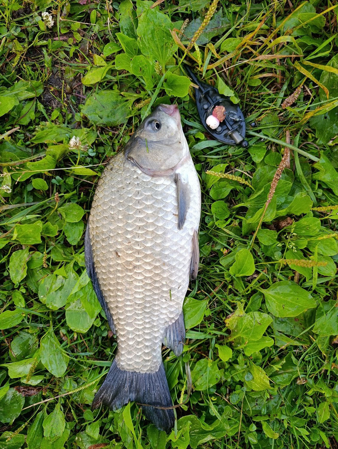 200370