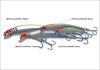 crystal_minnow6.jpg