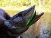 rapala_minnowspoon_2[1].jpg