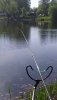 IMG_20200517_093234.jpg