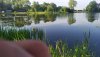 IMG_20200612_073920.jpg