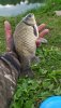 IMG_20200618_074141_1.jpg