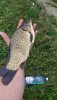 IMG_20200620_114758.jpg