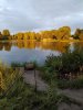 IMG_20200814_202621.jpg
