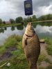 IMG_20200814_184410.jpg