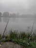 20200828_080655.jpg