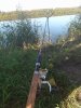 IMG_20200829_092257.jpg