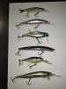 IMG_20200828_203424.jpg