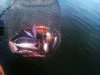 IMAG0569.jpg