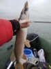 IMG_20201011_144437.jpg