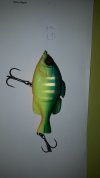 IMG-20210328-WA0092.jpeg