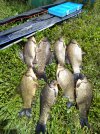 IMG_20210626_141536.jpg