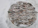 IMG-20220102-WA0009.jpg