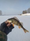 IMG_20220103_131229.jpg