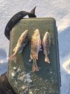 IMG_20220103_154438.jpg