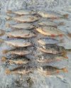 IMG_20220104_164855.jpg