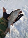 IMG_20220104_134145.jpg