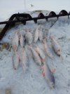 IMG_20220105_155225.jpg