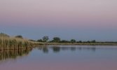 IMG_2566.jpg