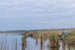 IMG_2569.jpg