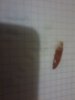20131031_230925.jpg