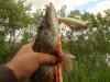 DSC05636.jpg