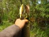 DSC05557.JPG