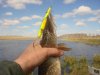 DSC05495.JPG