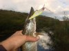 DSC00903.jpg