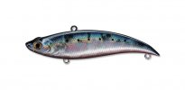 vobler_smith_bay_blue_54_b.jpg
