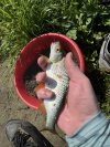 IMG_5204.jpeg