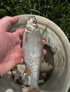 IMG_5205.jpeg
