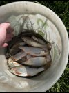 IMG_5206.jpeg
