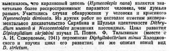 карлика изучали.PNG