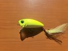 20260617_172730.jpg