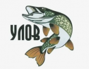 1782198370473.png