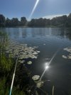 IMG_5309.jpeg