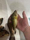IMG_5314.jpeg