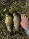 IMG_5349.jpeg