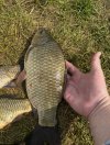 IMG_5409.jpeg