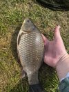 IMG_5410.jpeg