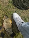 IMG_5411.jpeg