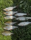 IMG_5467.jpeg
