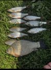 IMG_5468.jpeg