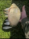 IMG_5469.jpeg
